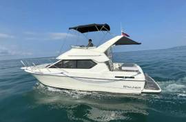 Катер Bayliner 288 (Виктория-А)