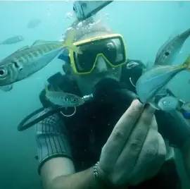 Дайвинг в Черном море