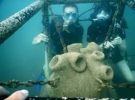 Дайвинг в Черном море