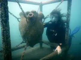 Дайвинг в Черном море