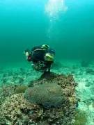 Дайвинг-центр «Глубина»