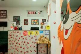 Хостел Red cat