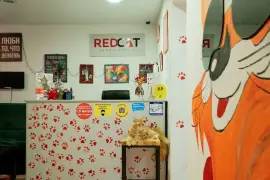 Хостел Red cat