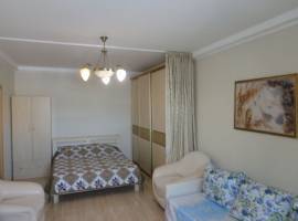 1-ком квартира в Центральном районе